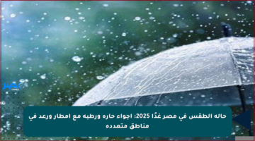 حالة الطقس في مصر غدًا 2025: أجواء حارة ورطبة مع أمطار ورعد في مناطق متعددة